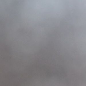 Meet your Posher, Hayley